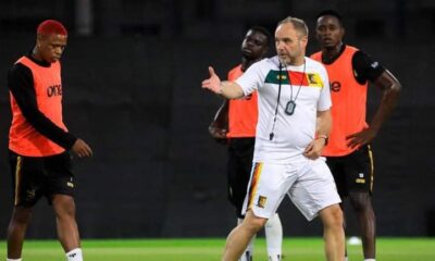 Sébastien Migne Lions indomptables Cameroun